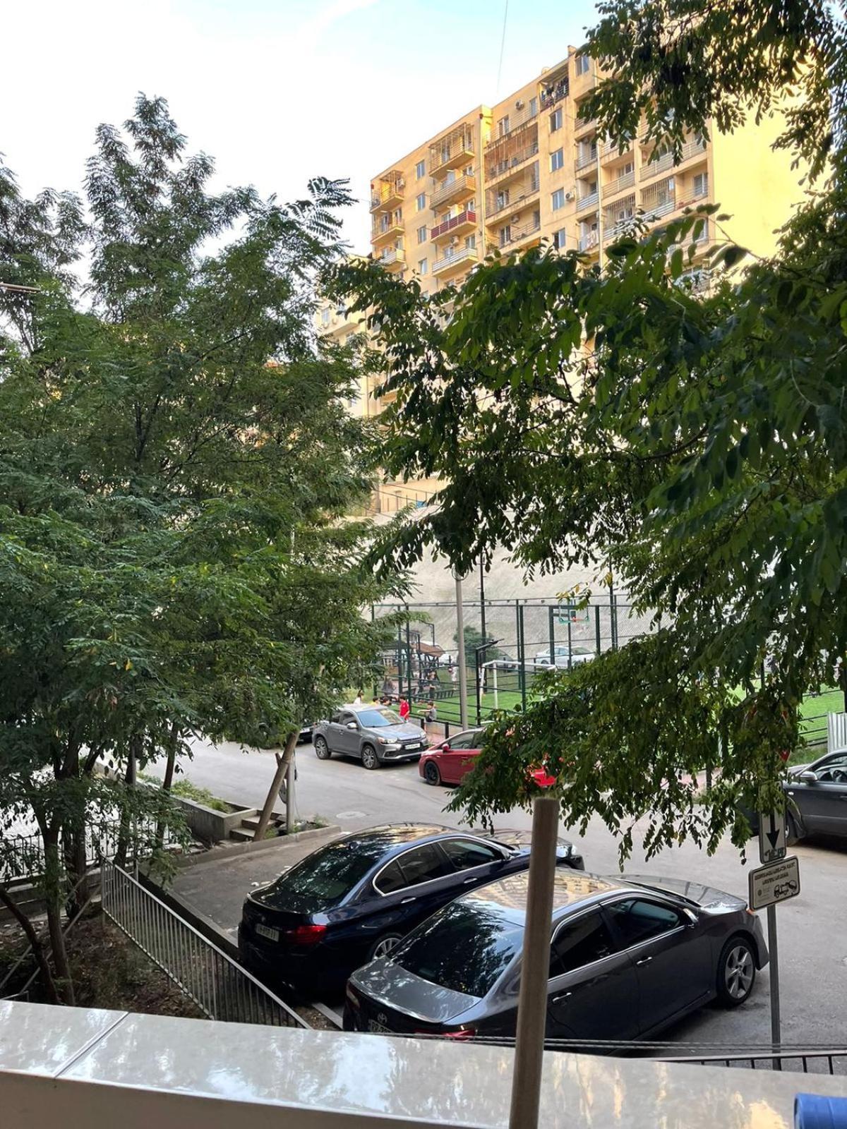 Bellissima In The Center * Тбилиси